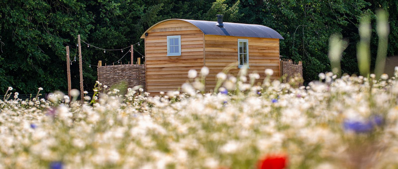 The exterior of a shepherd hut at Summerdown, Hampshire